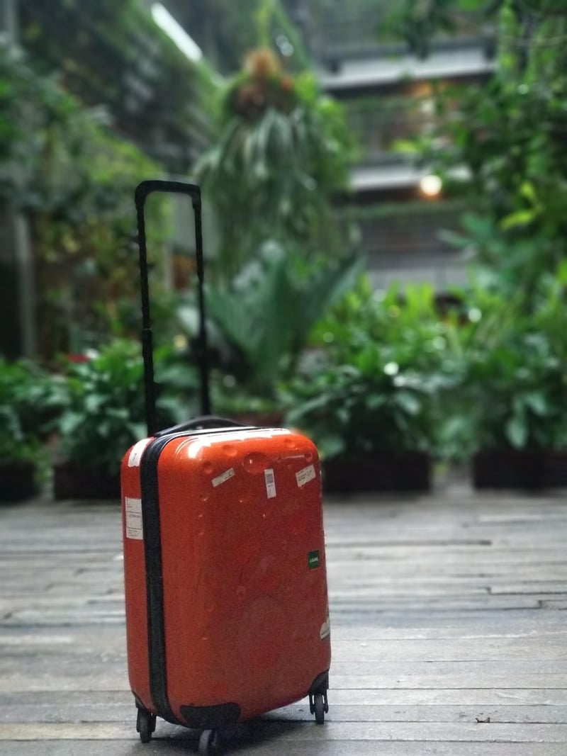 Travel Luggage